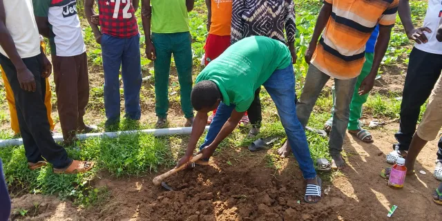 Apprentissage pratique des techniques agricoles au CFEA