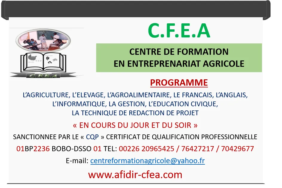 5 Raisons de Se Former en Entrepreneuriat Agricole avec le CFEA