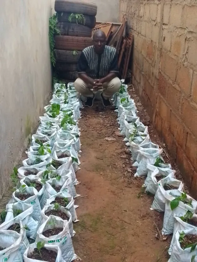 Formation en agriculture hors-sol au profit des PDI — photo 3